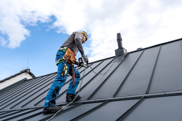 Best Sheet Metal Roofing  in Quitman, GA